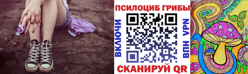 Псилоцибиновые грибы Psilocybine cubensis  Устюжна 